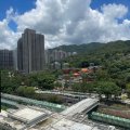 粉岭 粉岭名都 嘉丽阁 第07座