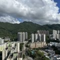 Shatin THE PAVILIA FARM II