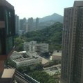 沙田 欣廷軒
