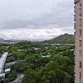 粉嶺 碧湖花園 第01座