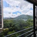 粉岭 牵晴间