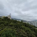 沙田 荟荞 1翼