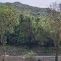 馬鞍山 富安花園 第01座