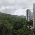 粉岭 华明村 第02座 信明楼
