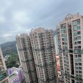 粉岭 花都广场 第08座