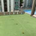 沙田 沙田第一城