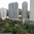 粉嶺 粉嶺中心 第02期 H座