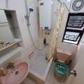 沙田 沙田圍村81號