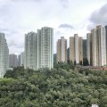 馬鞍山 新港城 D座