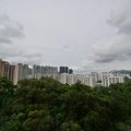 沙田 聚龙居