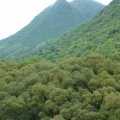 Ma On Shan CHEVALIER GDN BLK 01 (PSPS)
