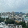 粉嶺 祥華村 祥智樓 C座