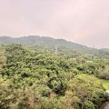 Shatin HIN KENG EST