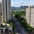 粉嶺 粉嶺中心 第02期 L座
