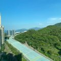 馬鞍山 翠擁華庭 第01座