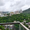 沙田 駿景園