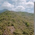 馬鞍山 錦駿苑 D座 駿駒閣