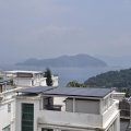 清水湾 茅莆