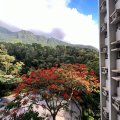 马鞍山 锦英苑 E座 锦达阁
