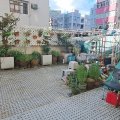 沙田 悅安樓