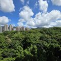 沙田 富豪花園 豪華閣