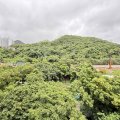 沙田 博康村