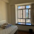 馬鞍山 新港城 P座