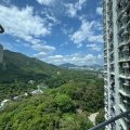 粉嶺 山麗苑 D座 梨山閣