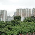 沙田 景田苑 D座 雄心阁