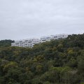 沙田 沙田 玖瓏山**罕有裝修兩房梗廚**高層**約睇**即買即租**