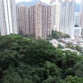 沙田 聚龍居