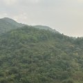 沙田 康林苑