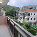 大埔 大洞村