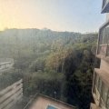 Shatin PARK VIEW GDN