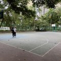 大埔 寶雅苑