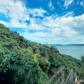 清水灣 愛琴居