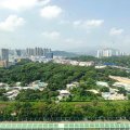 Fanling DAWNING VIEWS BLK 12
