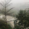 Sai Kung MOUNT PAVILIA TWR 21