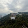 Shatin SCENERY GDN