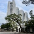 Shatin SCENERY GDN
