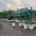 Shatin SCENERY GDN