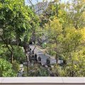 Sai Kung MOUNT PAVILIA