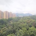 沙田 富豪花園