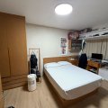 Shatin PICTORIAL GDN