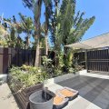 西貢 黃毛應