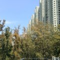 馬鞍山 薈朗 第01座