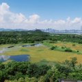 Yuen Long WETLAND SEASONS PARK