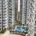 Shatin GOLDEN LION GDN PH 01