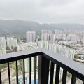 沙田 柏傲莊 < 三房東南河景 >