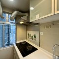 Shatin LUCKY PLAZA FUNG LAM COURT (C1)